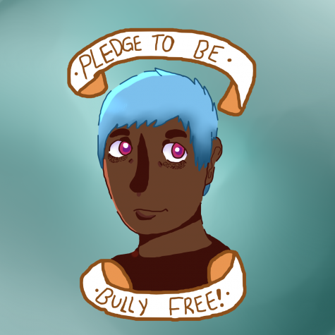 Anti-bullying policies implemented