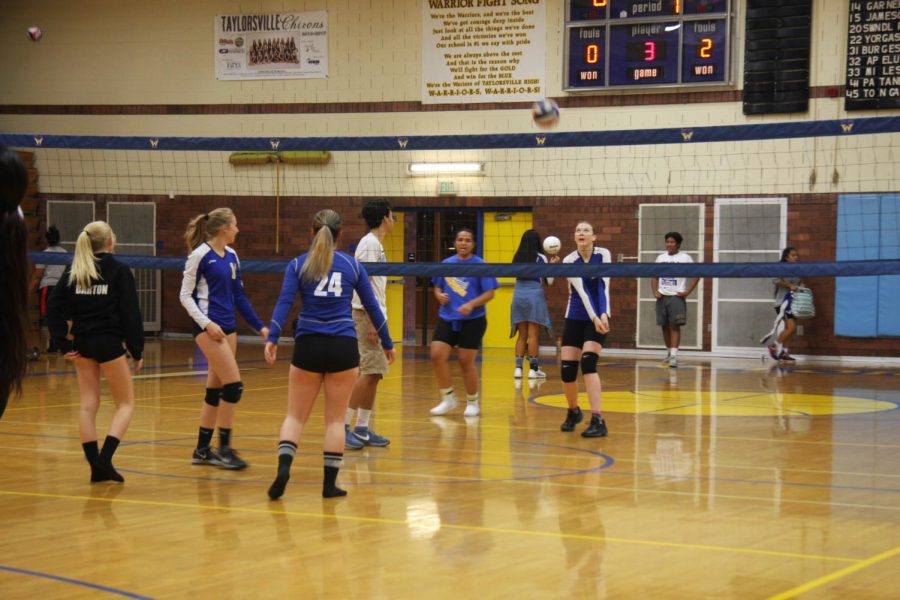 Volleyball tries to improve off down year