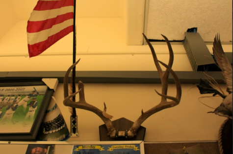 Trump lifts the trophy ban