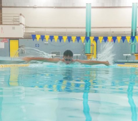 Swim team dives into new season