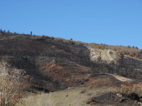Fires in Different Utah Locations