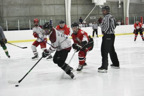 Violence rises in the National Hockey League