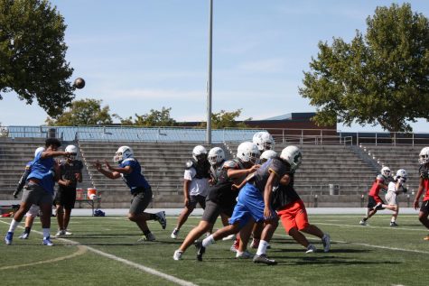 Impact of new NFL hit rule