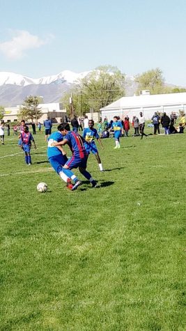 Support bias in gendered sports
