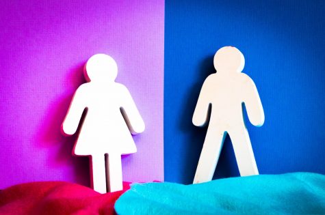 Gender discrimination prevalent in current political rhetoric