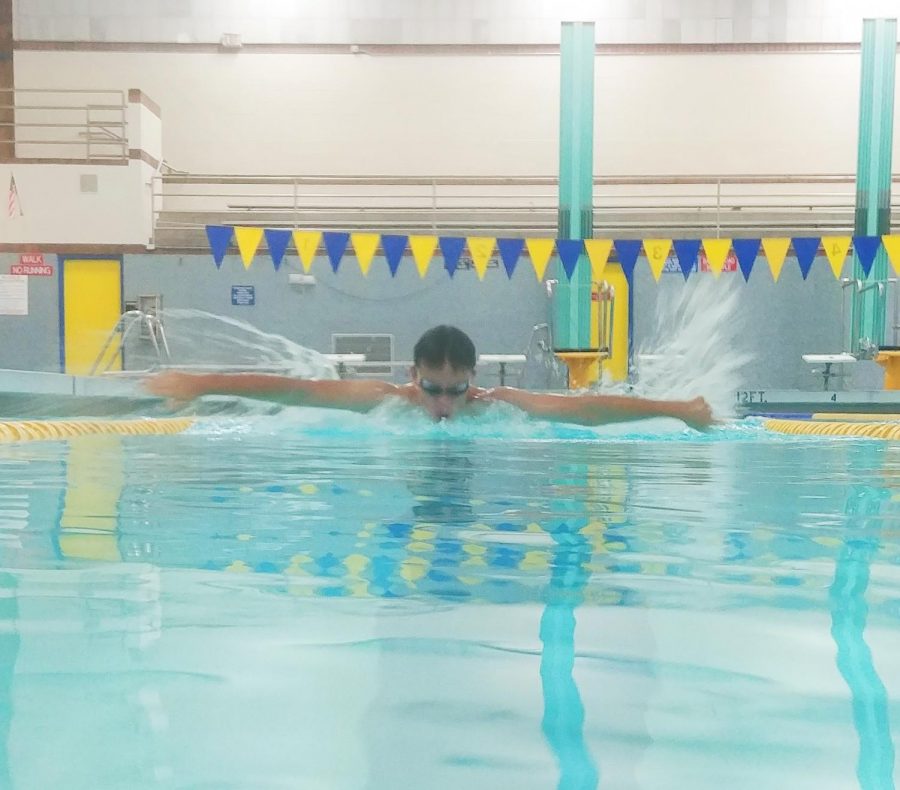 Student swimming in the pool with his arms to his side.