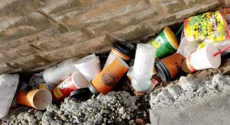 The absurd amount of food that goes to waste every year