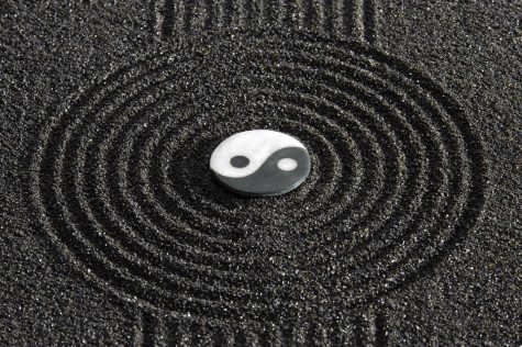 Yin and Yang resembles the balance needed between emotion and logic.