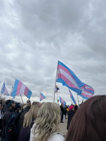 Transgender Flags at a Rally for Transgender Youth