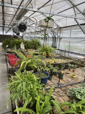 The greenhouse at the Granite Technical Institute